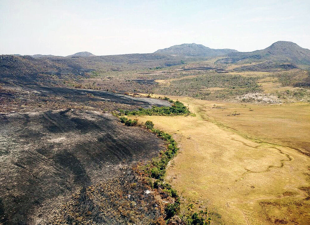 Chico Mendes Institute for Biodiversity Conservation / AFP